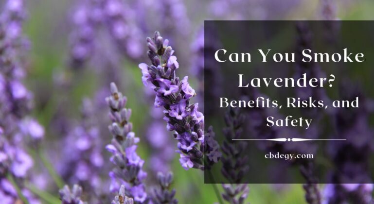 Can You Smoke Lavender Benefits Risks And Safety 769x420 