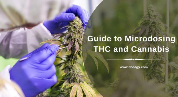 Microdosing THC and Cannabis
